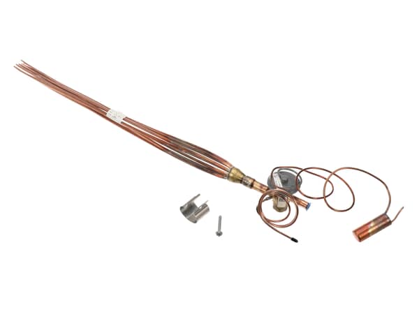 Rheem 61-42662-19 Expansion Valve (RHM61-42662-19) Each