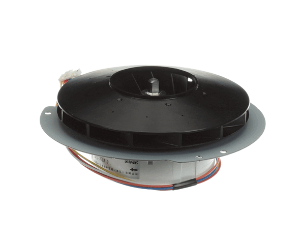 Rheem Rtg20239Bl Blower Motor (RHMRTG20239BL) Each