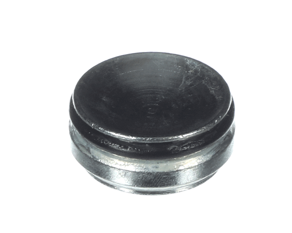 Rinnai 807000031 Filter Cap (RIN807000031) Each