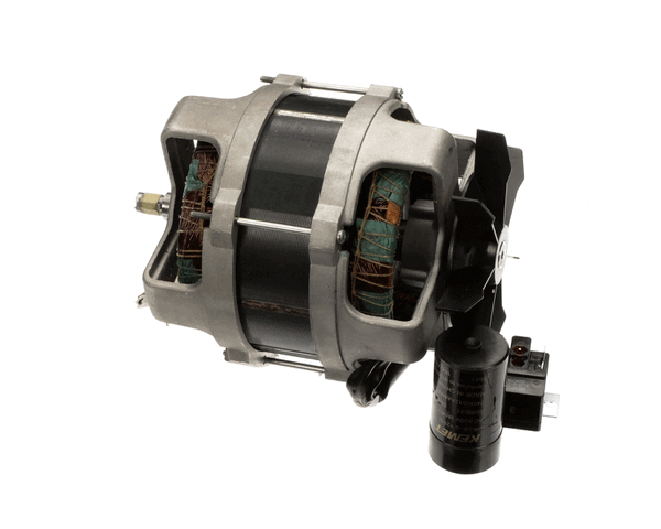 Robot Coupe 303081S Motor Cl55D 120/60/1 (ROB303081S) Each