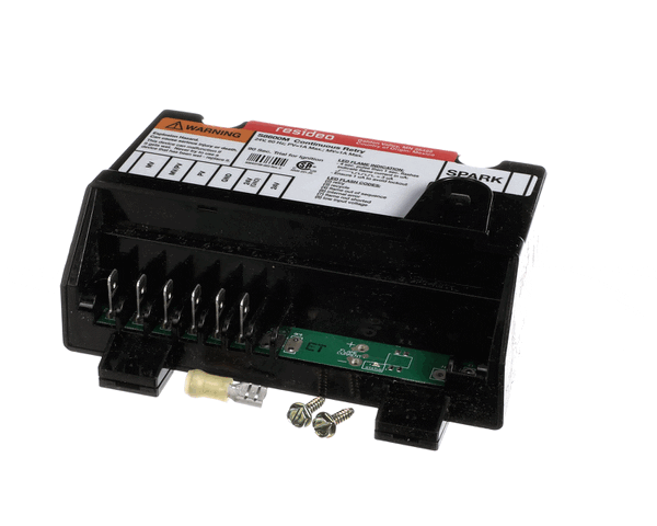 Raypak 004817B Iginition Control (RYP004817B) Each