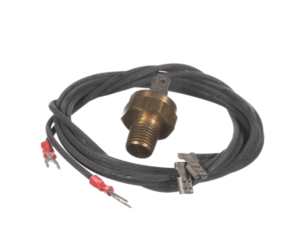 Raypak 600893B Hi Limit 44T31 (RYP600893B) Each