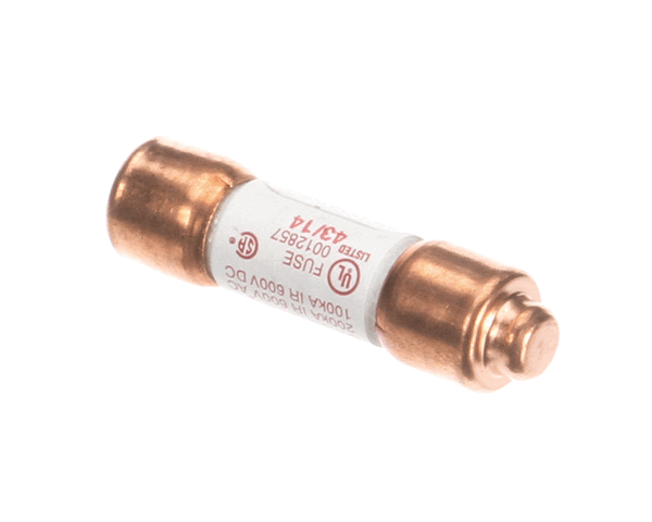Salvajor 994095 Fuse 1 Amp 208-230V (SAL994095) Each