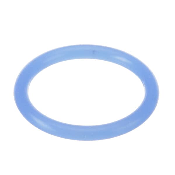 Server SER05127 O-Ring 1 inches (SER05127) Each – GoodEarth Products
