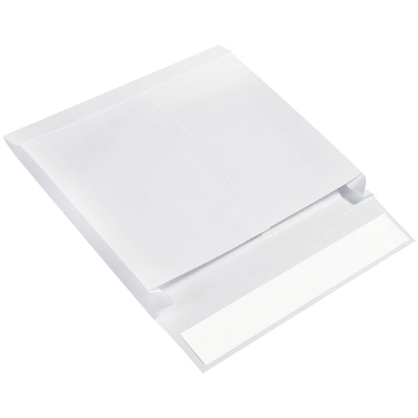 10 x 13 x 2" Expandable Ship-Lite® Envelopes, Case Of 100 Case Of 100