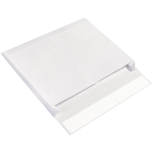 10 x 15 x 2" Expandable Ship-Lite® Envelopes, Case Of 100 Case Of 100