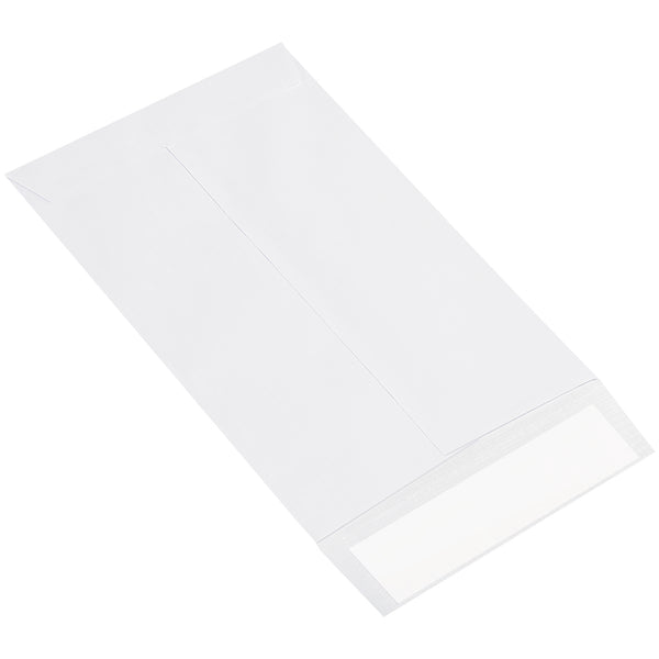 6 x 9" Flat Ship-Lite® Envelopes, Case Of 100 Case Of 100