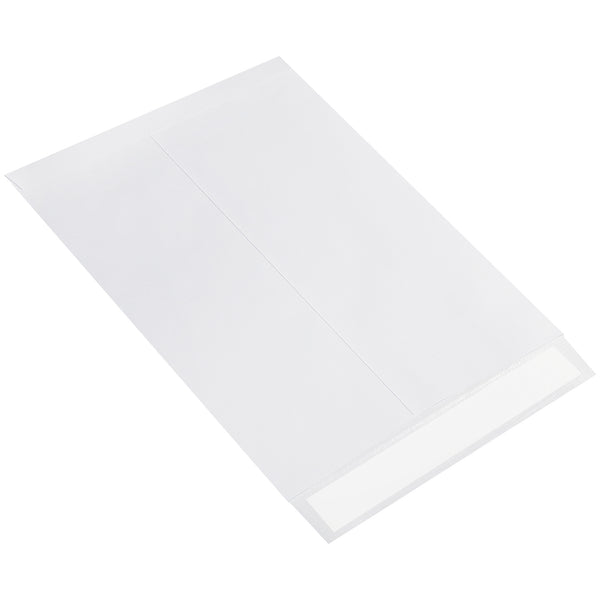 10 x 13" Flat Ship-Lite® Envelopes, Case Of 100 Case Of 100