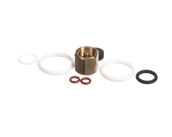 Synesso 1.7320 Rebuild Kit For Steam Valve With Seat Ho (SYO1-7320) Each