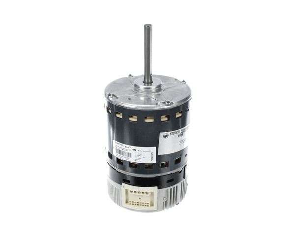 Trane Mot09610 Motor 3/4Hp (TRNMOT09610) Each