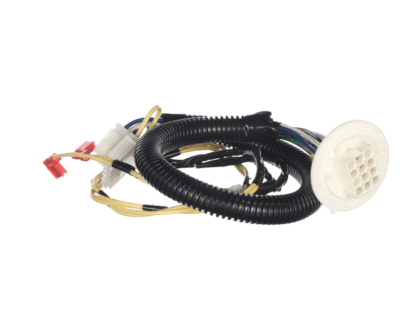 Trane Wir08823 Wire; Harness,12-Pin- Ecm Motor (Blu,Wht (TRNWIR08823) Each