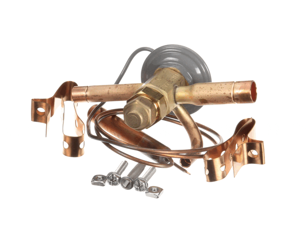 TRUE 813301 Valve Expansion Ebfse-Aac, Inlet Straine (TRUE813301) Each