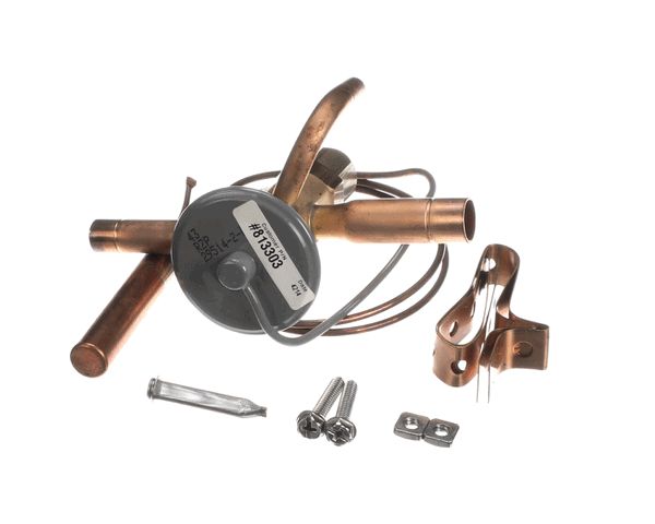 TRUE 813303 Valve Expansion Ebfse-Azp, Inlet Straine (TRUE813303) Each