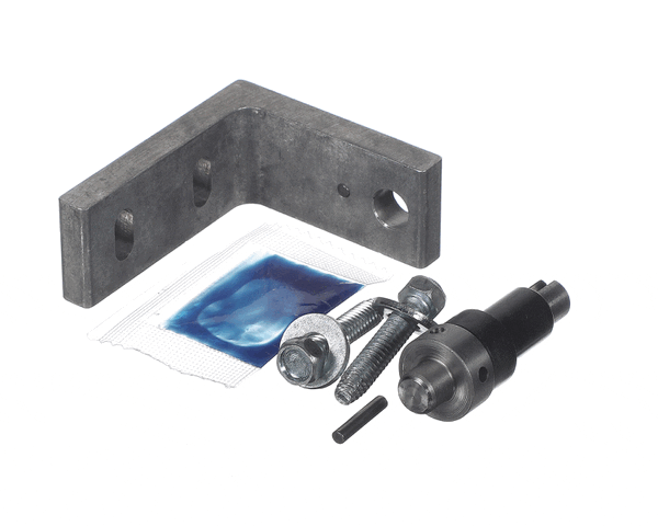 TRUE 870875 Hinge Kit Door Bottom For Tors. Spring, (TRUE870875) Each