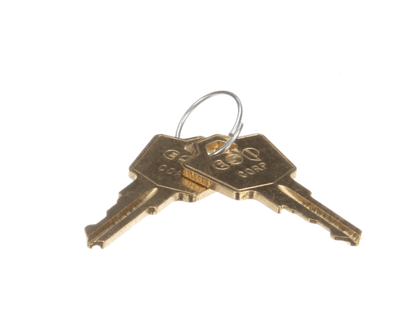 TRUE 872857 Key, Hl302 (Set Of 2) Tdd-1 New 3/2/2000 (TRUE872857) Each