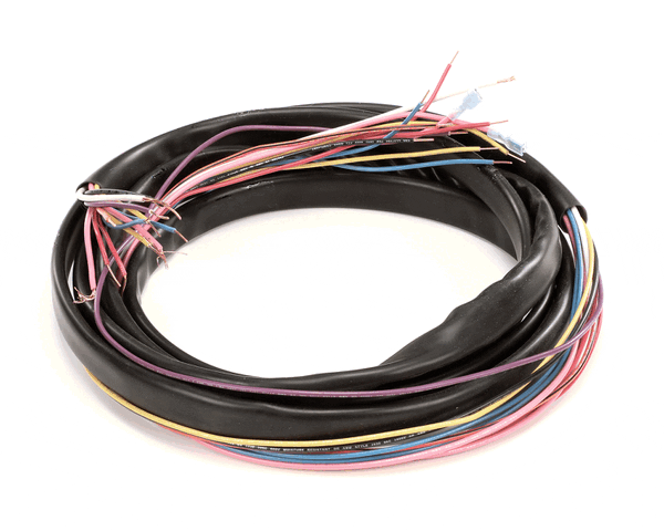 TRUE 971922 Wire Harness, Ups Coolers (TRUE971922) Each