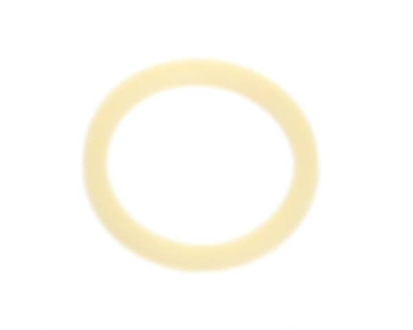 T&S Brass 001048-45 Nozzle Tip Washer (TS001048-45) Each