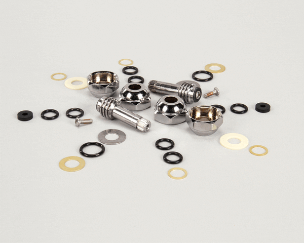 T&S Brass B-20K Parts Kit For Old-Style B-1100 Series (W (TSB-20K) Each