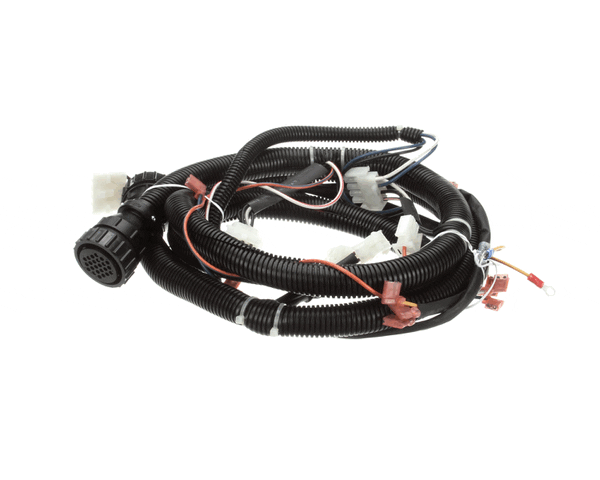 Ultrafryer 22A675 Cable, Main Bank W/24C Gas Valve & Fan R (ULTR22A675) Each