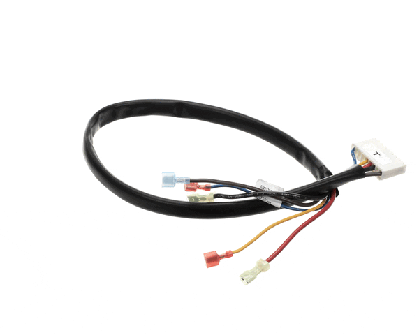 Victory 50831702 Wire Harness-Evco Warmer Control (VT50831702) Each