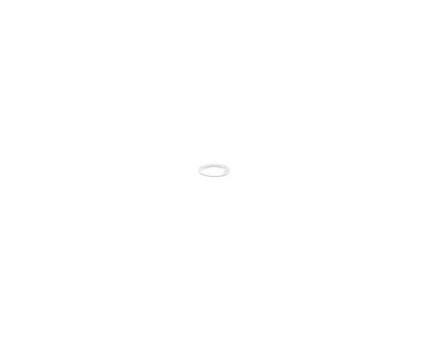Waring 005320 Washer (WAR005320) Each