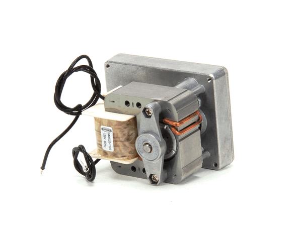 Waring 032779 Ac Motor /Cts1000 (WAR032779) Each