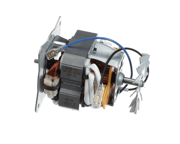 Waring 035170 230 Volt Chiaphua Motor (WAR035170) Each