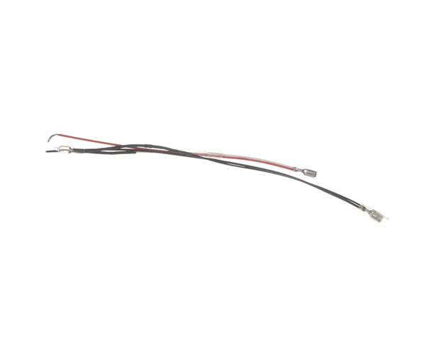 Waring 037928 Power Bulb W/Leads /Wbw300Xce (WAR037928) Each