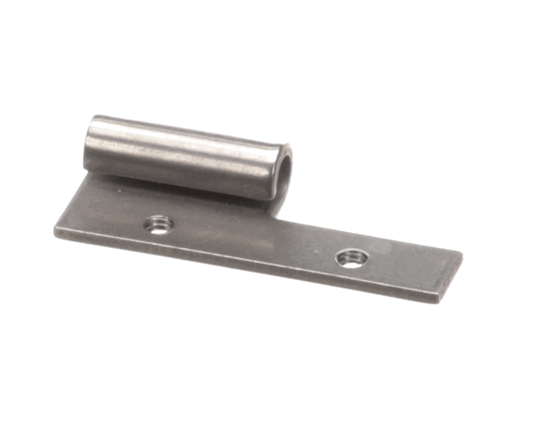 Wilbur Curtis 3375000762 Hinge, Female Pcgt (WCCA-1028-05F) Each