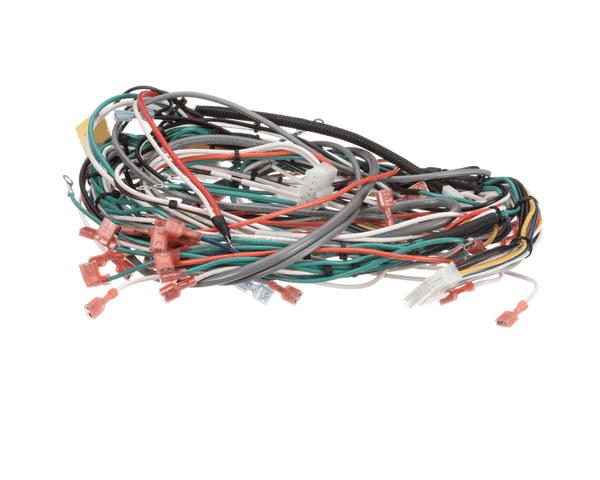 Wilbur Curtis 3375000634 Harness, Assembly Complete Pcgt5 (WCWC-13245) Each