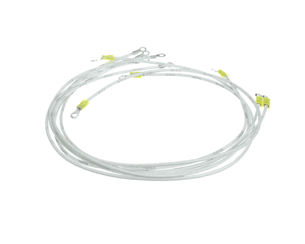 Wells 2E-300498 Wire Set B-50 506 208/240 (WEL2E-300498) Each
