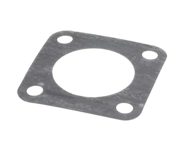 Wells 2I-302448 Gasket, Pump Mounting (WEL2I-302448) Each