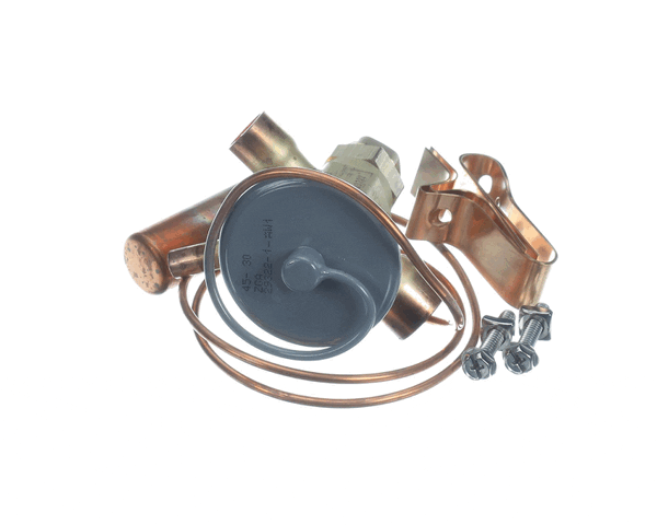 Whalen Company Pdxexpbbize3.20 Valve Expan (5X4X2) Cas  36/42 (WHLEPDXEXPBBIZE3-20) Each