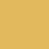 Hospeco® Mariposa Poly Spun NaPackin 20x20 Gold, 25/Pack (HOSPNP-NAP-GOLD-25) Pack of 25
