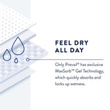 Prevail® Daily Pant Liners Incontinence Liner 12-1/2 Inch Length Moderate Absorbency Polymer Core Small (677283_CS) 4/CS