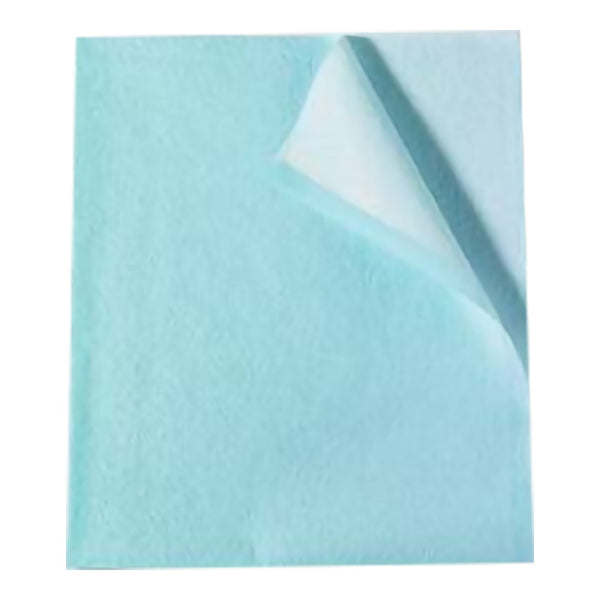 Tidi® Everyday Stretcher Sheet Flat 30 W X 48 L Inch Blue Tissue / Poly / Polyethylene Film Disposable (335859_CS) 100/CS