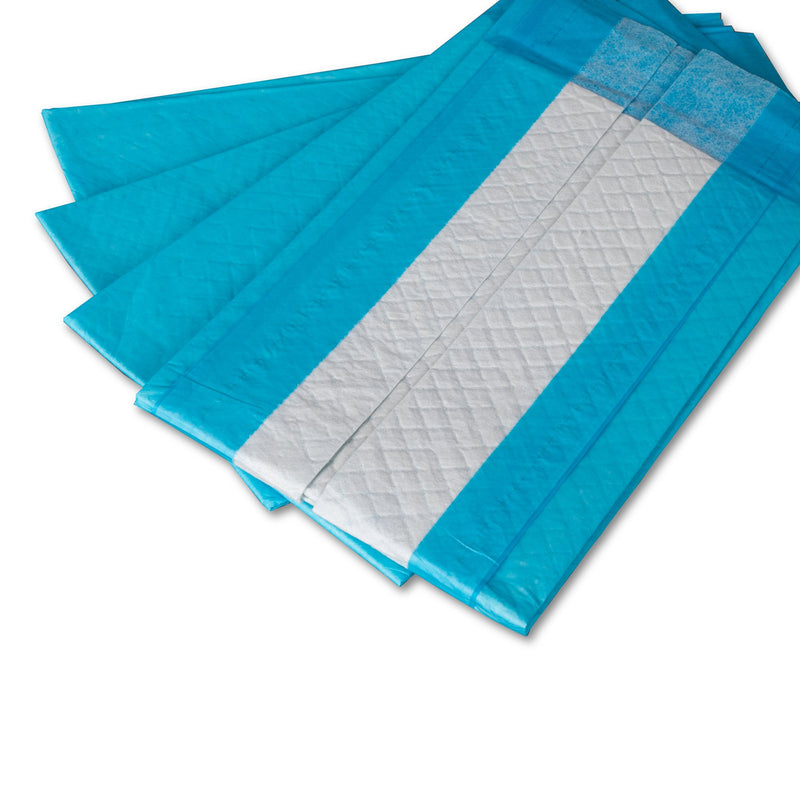 DUKAL Disposable Underpad 23 X 24 Inch Cellulose Light Absorbency (863075_CS) 4/CS