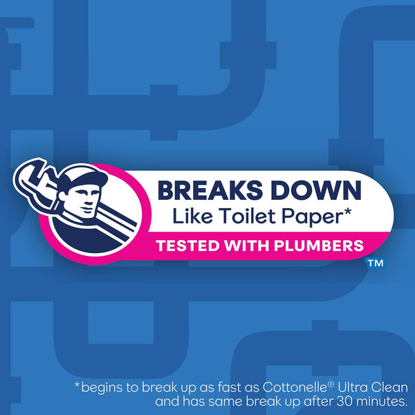 Cottonelle® FreshCare® Flushable Personal Wipe Soft Pack Scented 42 Count (1234280_CS) 504/CS