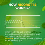 Nicorette® Stop Smoking Aid 4 mg Strength Gum (1230560_CT) 100/CT