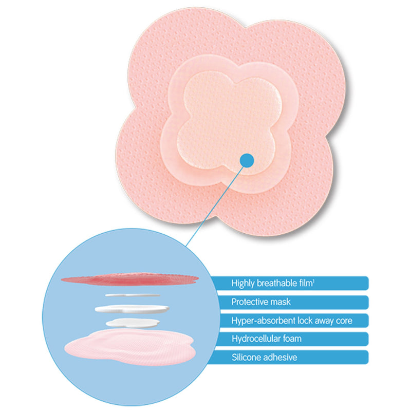 Allevyn Life Foam Dressing 5--1/16 X 5-1/16 Inch With Border Film Backing Silicone Gel Adhesive Quadrilobe Sterile (834485_EA) 1/EA