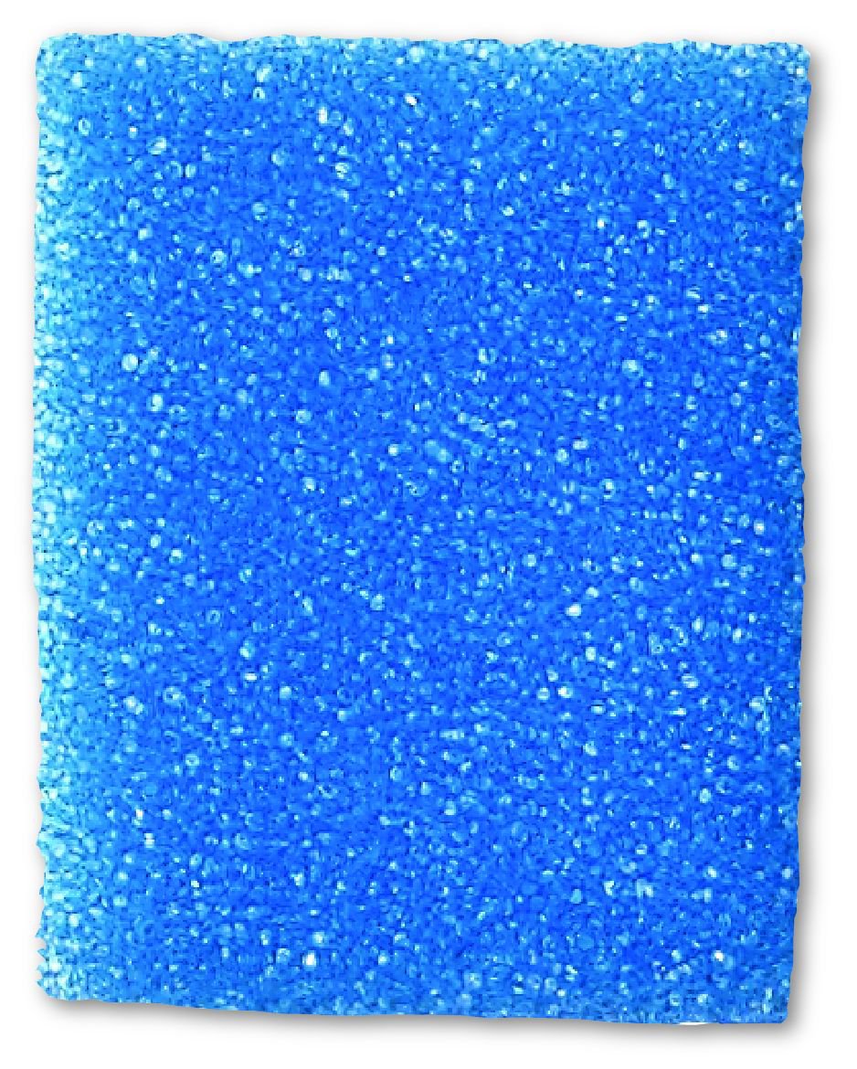 StatLab Medical Products Biopsy Sponge For Securing Small Specimens Du ...