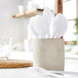 McKesson Spoon Heavy Weight White Polypropylene (959248_CS) 1000/CS