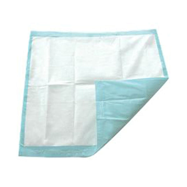 TotalDry™ Disposable Underpad 30 X 30 Inch SecureLoc Light Absorbency (975699_BG) 10/BG