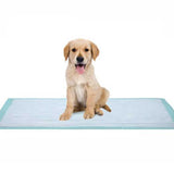 DUKAL Disposable Underpad 17 X 24 Inch Cellulose Light Absorbency (863238_BX) 100/BX