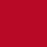 My Medic™ TFAK Trauma First Aid Kit Red Nylon Bag (1207732_EA) 1/EA