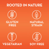 Align® Probiotic Dietary Supplement 28 per Box Capsule (636010_BX) 1/BX