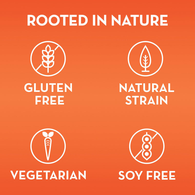 Align® Probiotic Dietary Supplement 28 per Box Capsule (636010_BX) 1/BX