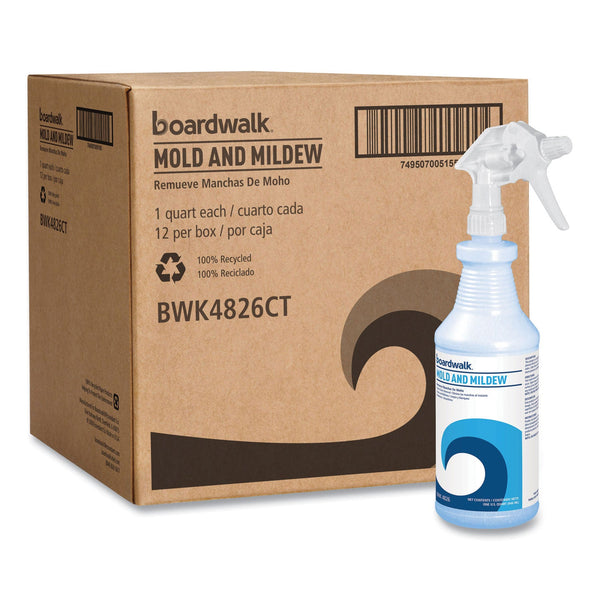 boardwalk-mold-and-mildew-bwk4826.jpg