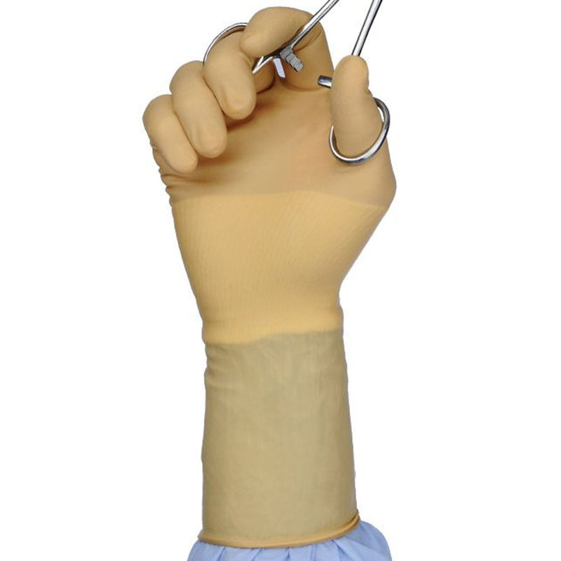 Protexis™ (formerly Duraprene™ Plus ) Surgical Glove Size 6 Sterile Polychloroprene Standard Cuff Length Smooth Ivory Chemo Tested (995377_PR) 1/PR