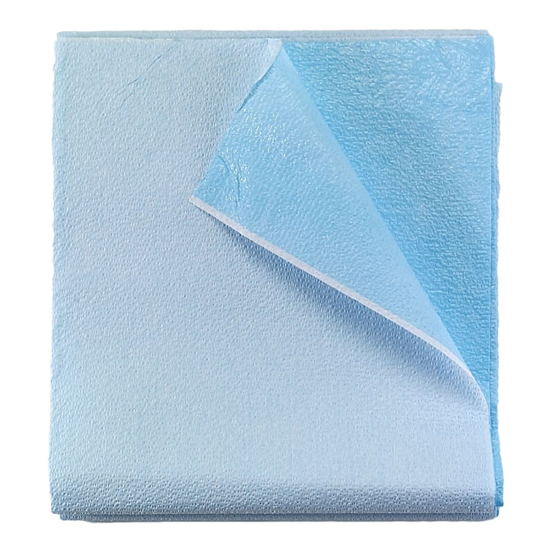 Tidi® Everyday Stretcher Sheet Flat 40 X 90 Inch Blue Tissue / Poly Disposable (529260_CS) 50/CS
